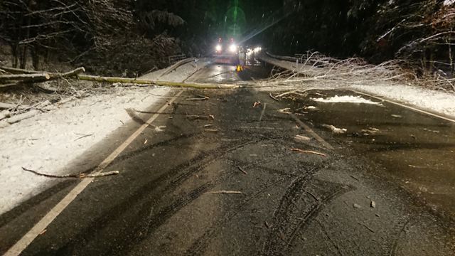 DSC_0000_BURST20200228043246506 groß.jpg